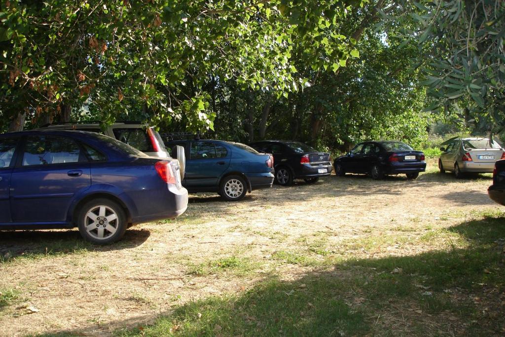 סקאלה פוטאמיאס Porto Thassos Apartments & Studios מראה חיצוני תמונה